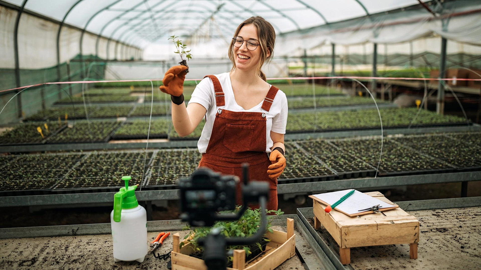 woman-holding-up-plant-in-nursery.jpg